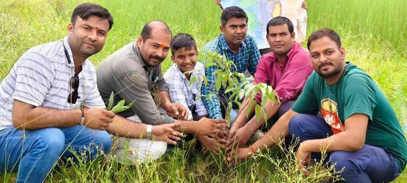 The Shape Internation School